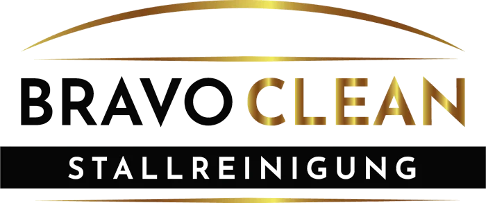 Bravo Clean Logo